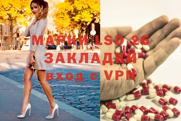 ECSTASY Алзамай