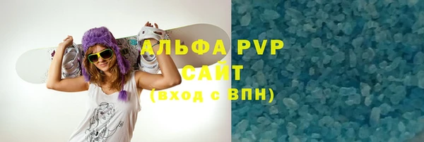 ECSTASY Алзамай